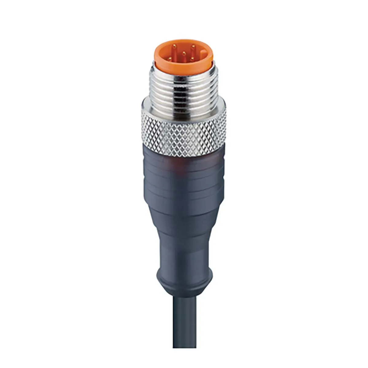 Cavo sensore/attuatore Lumberg Automation 5 cond. M12 Maschio / Senza terminazione, Ø 5.4mm, L. 5m