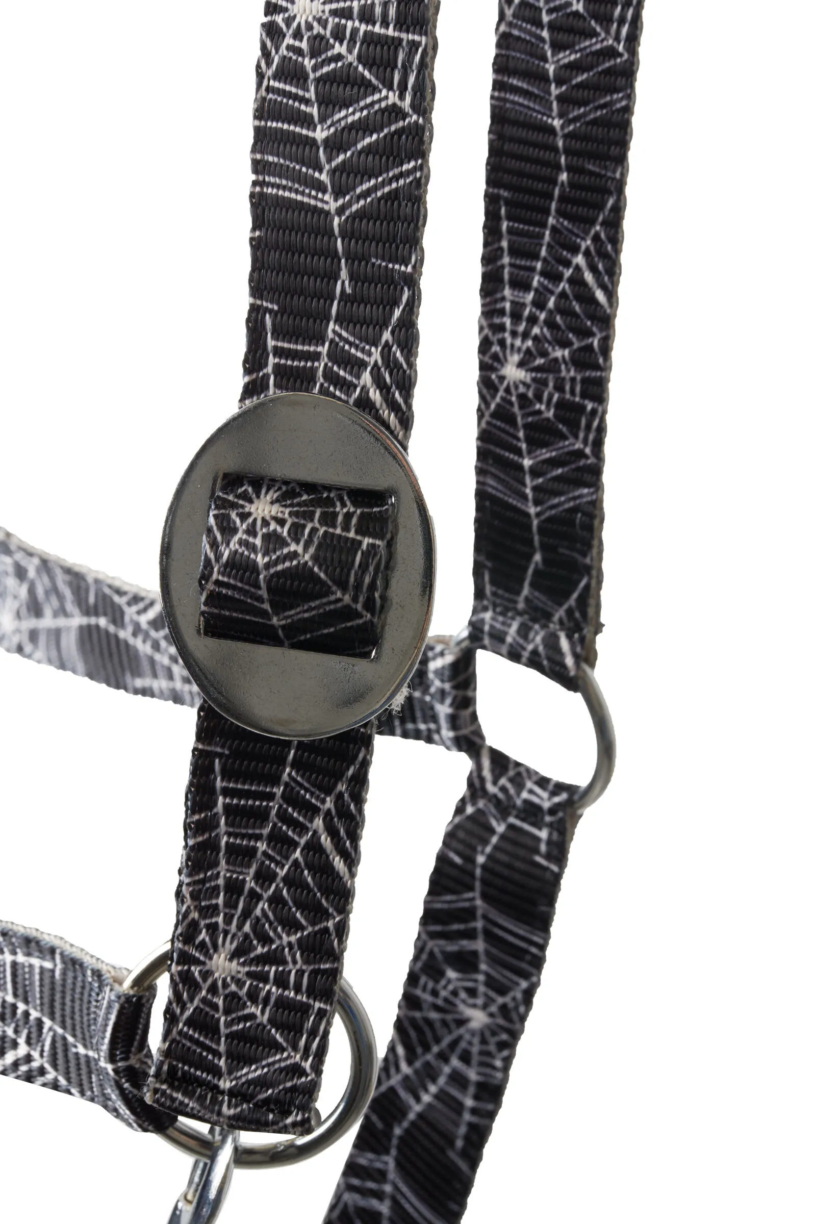 Horze Capezza di Halloween
