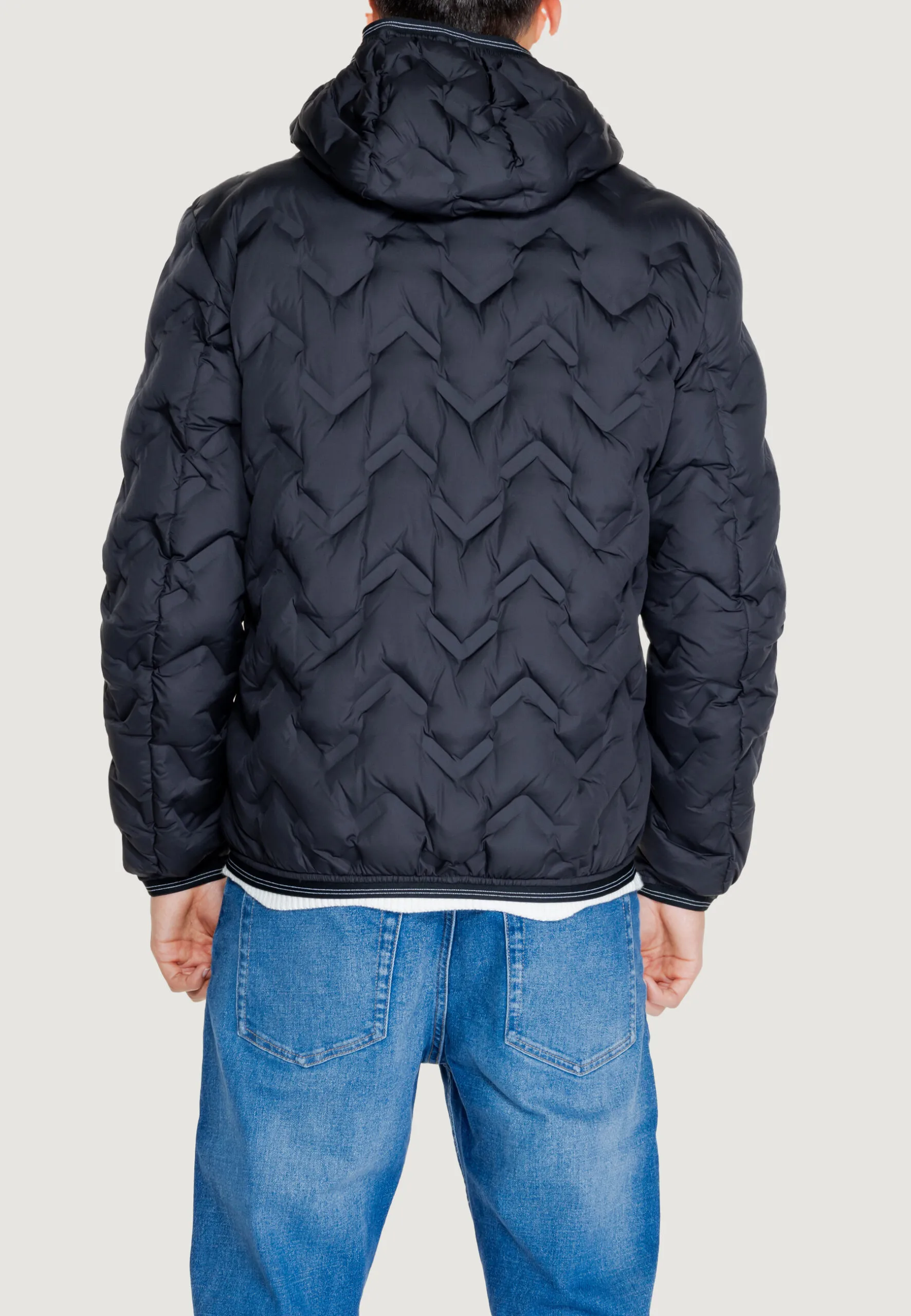 Piumino Blauer PIER Nero