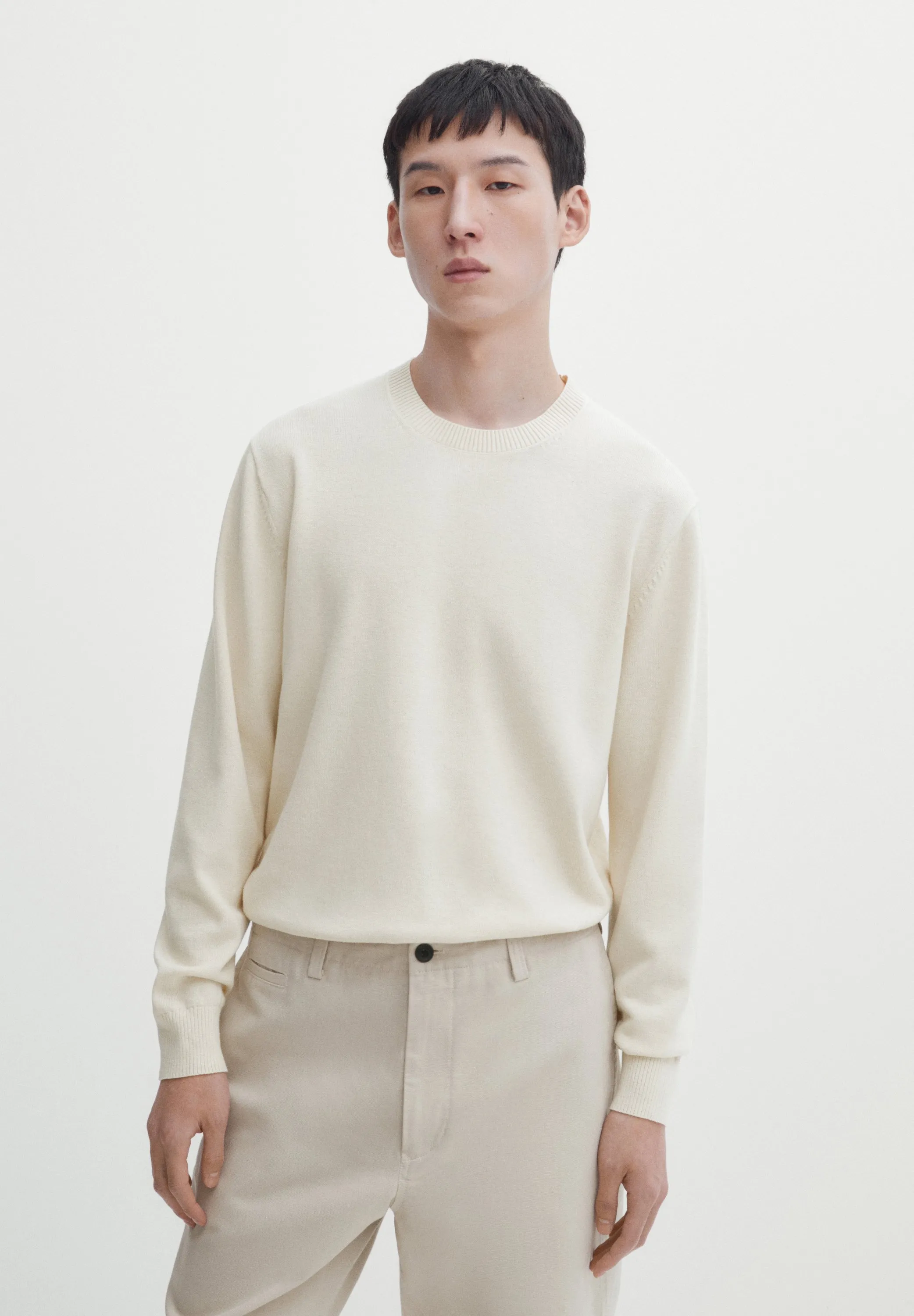WITH CREW NECK - Maglione